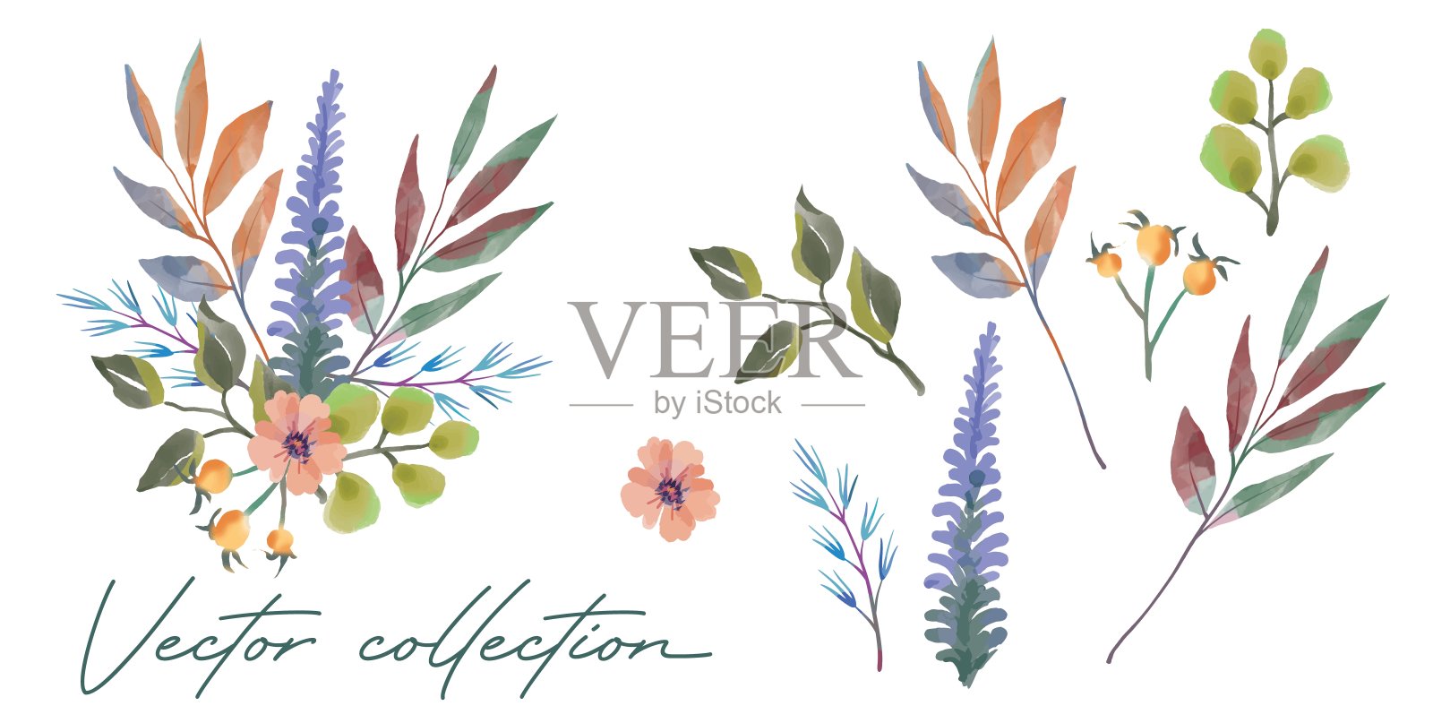 植物的分支。鲜花婚礼概念。植物的海报,邀请。矢量设计方案的贺卡或邀请插画图片素材