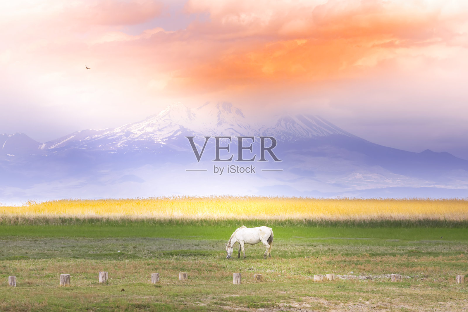 埃尔西耶山，海拔3916米，位于土耳其开塞里照片摄影图片