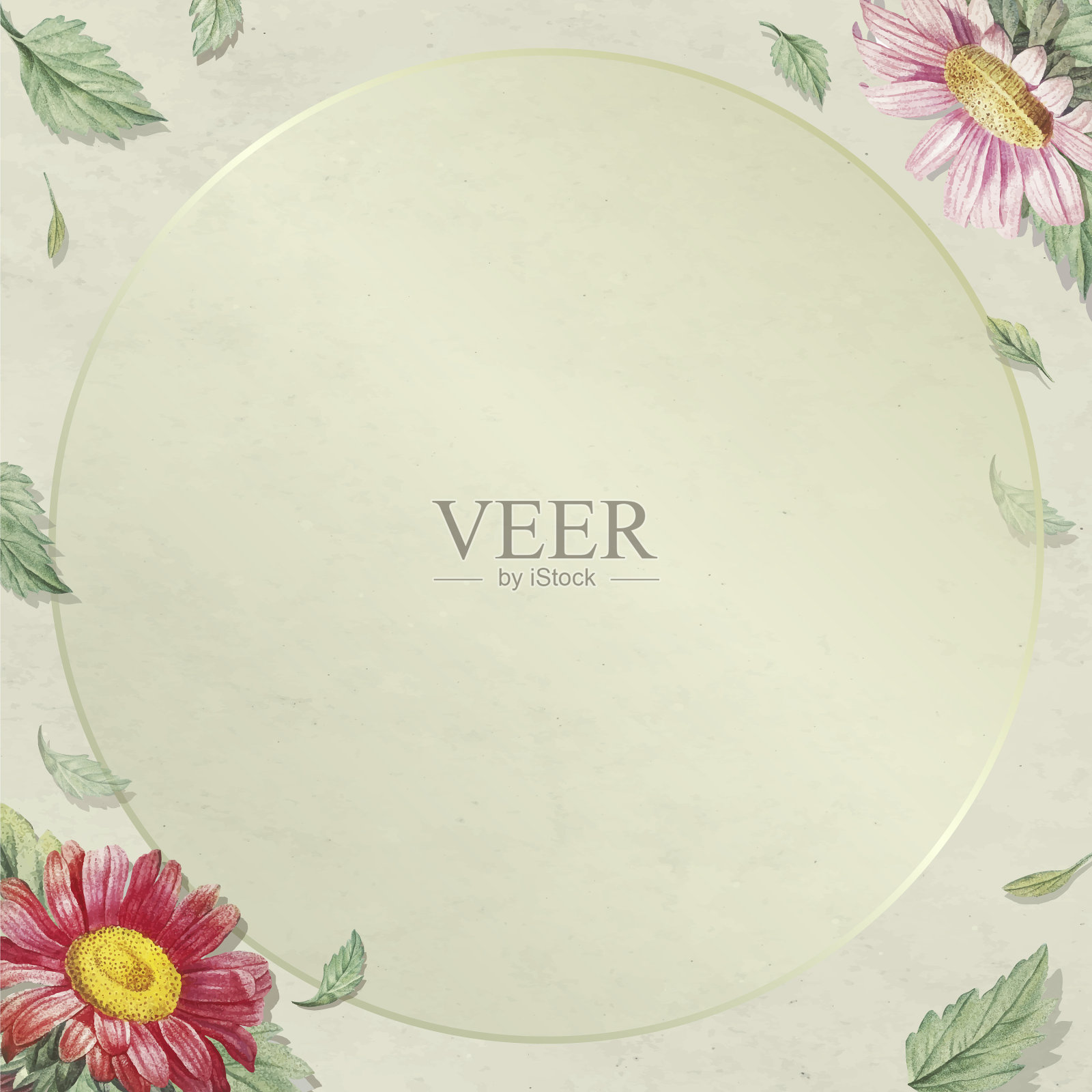 非洲菊图案框架插画图片素材