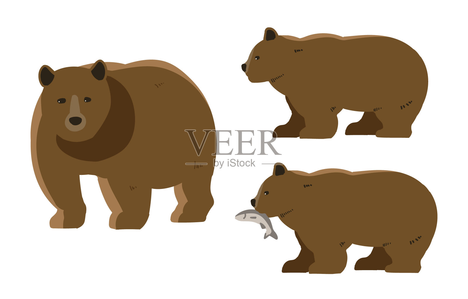 棕熊没有线插画图片素材