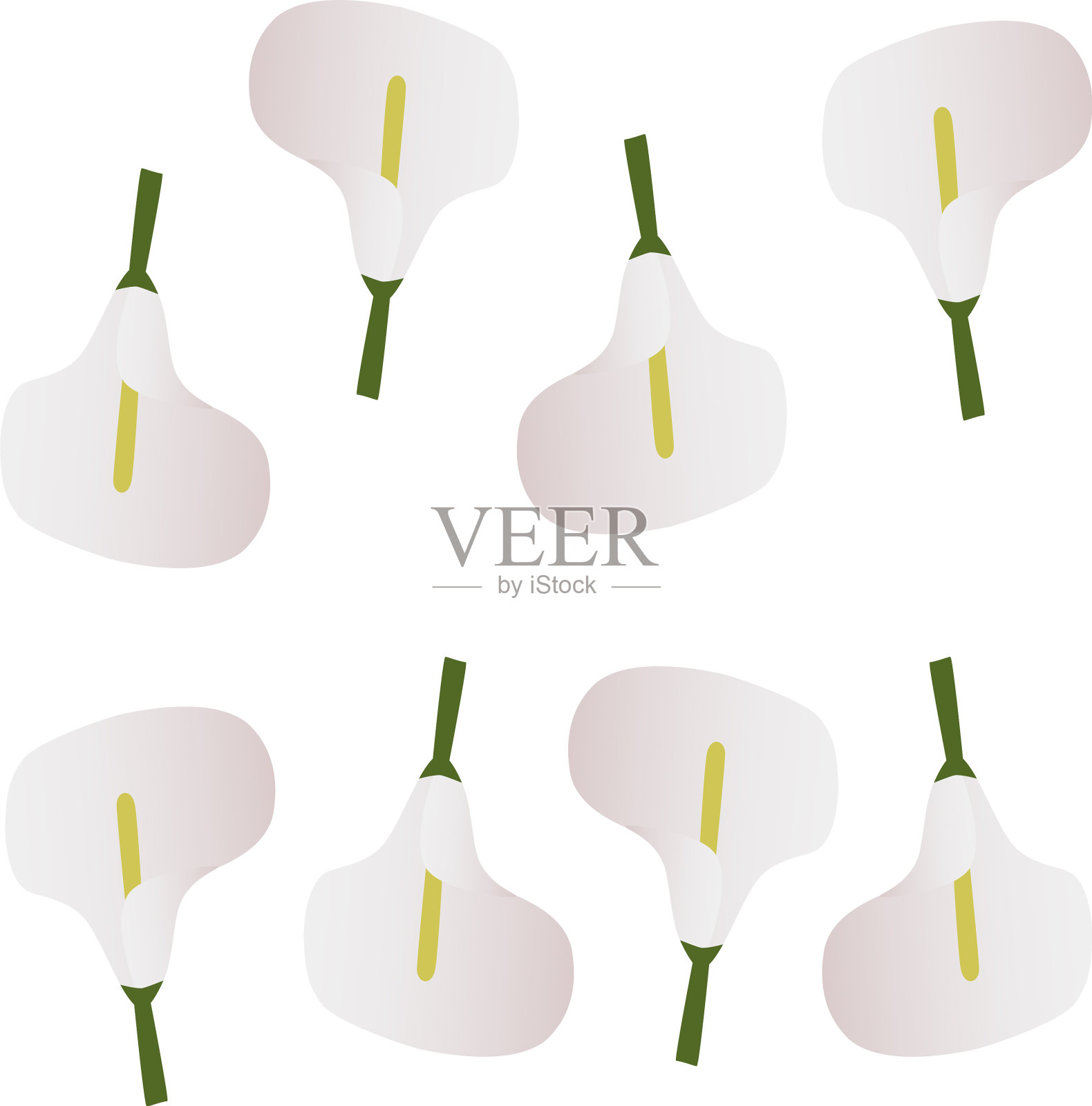 无缝背景与手绘马蹄莲花插画图片素材