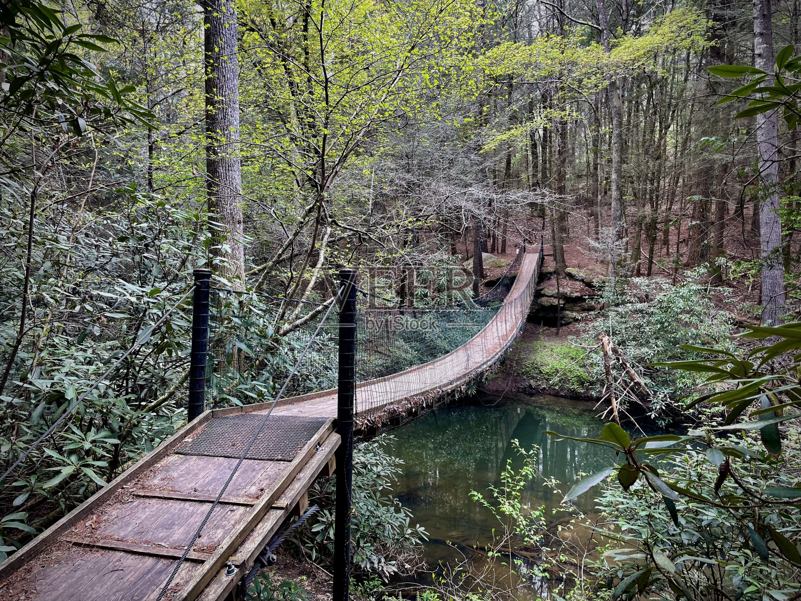 桥照片摄影图片