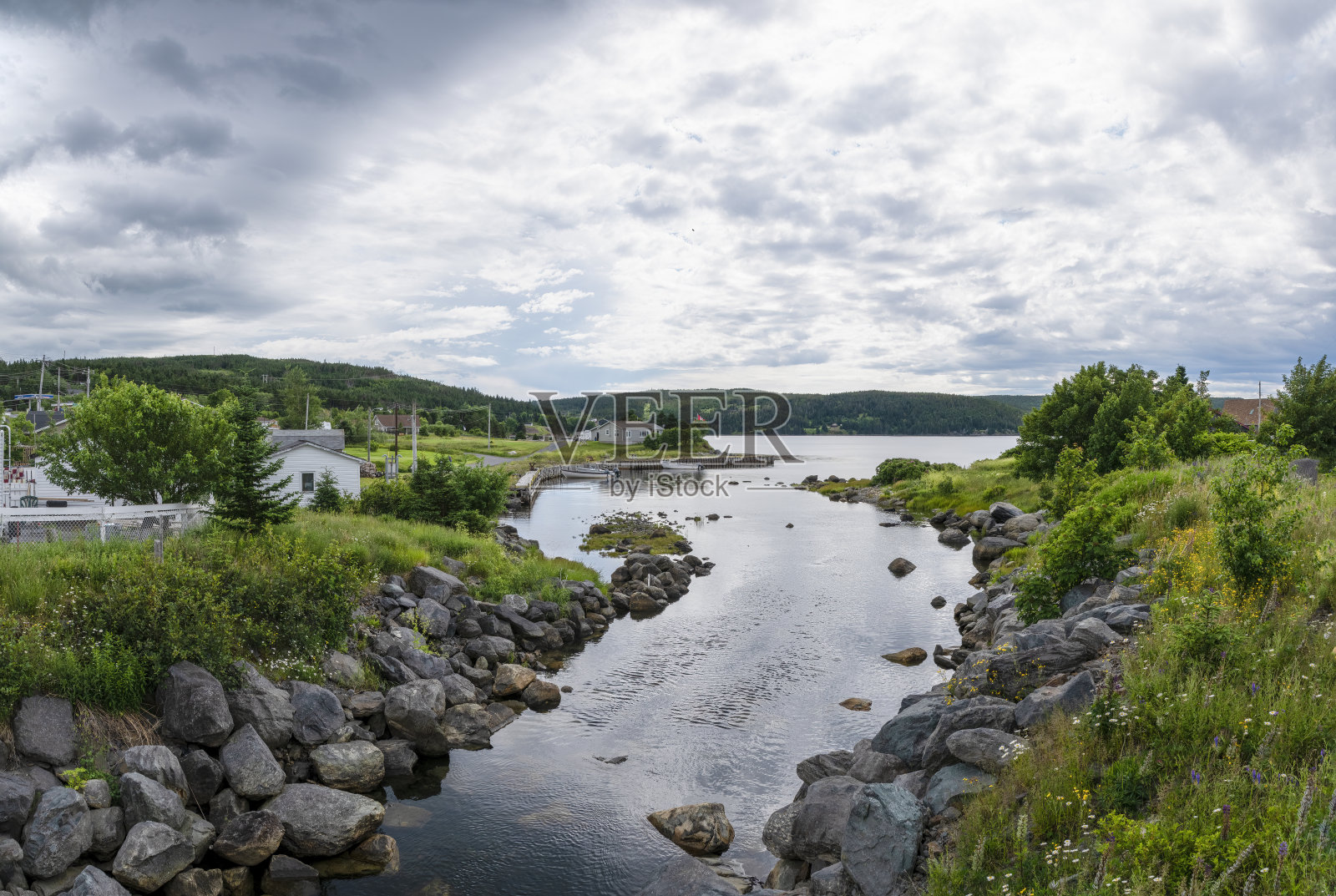 心内容,纽芬兰照片摄影图片