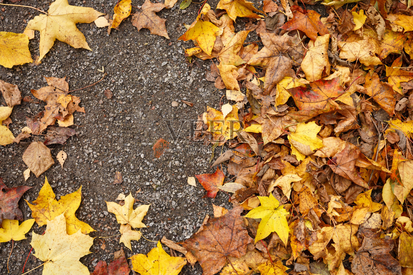 俯视图上五颜六色的干树叶在地面上。秋天在公园里。照片摄影图片