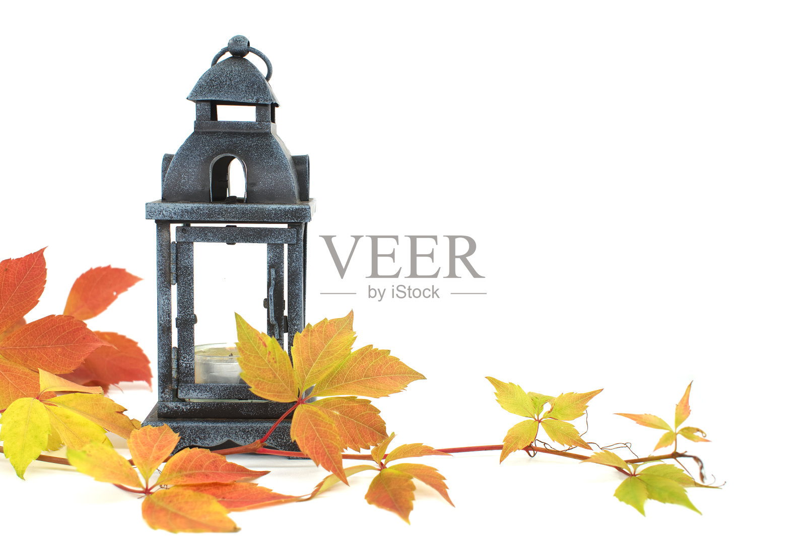 季节的树叶和灯笼在白色照片摄影图片