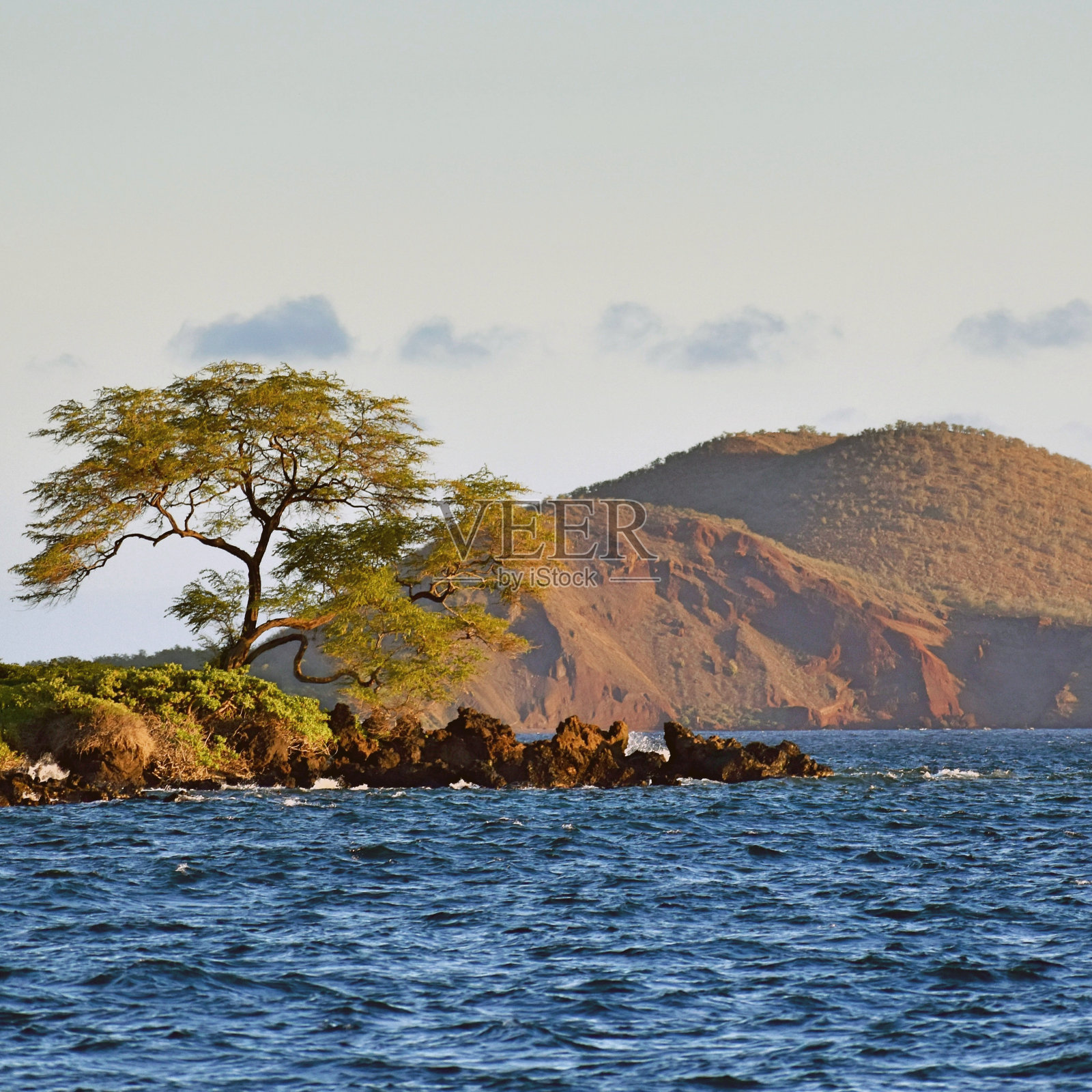 毛伊岛海滩照片摄影图片