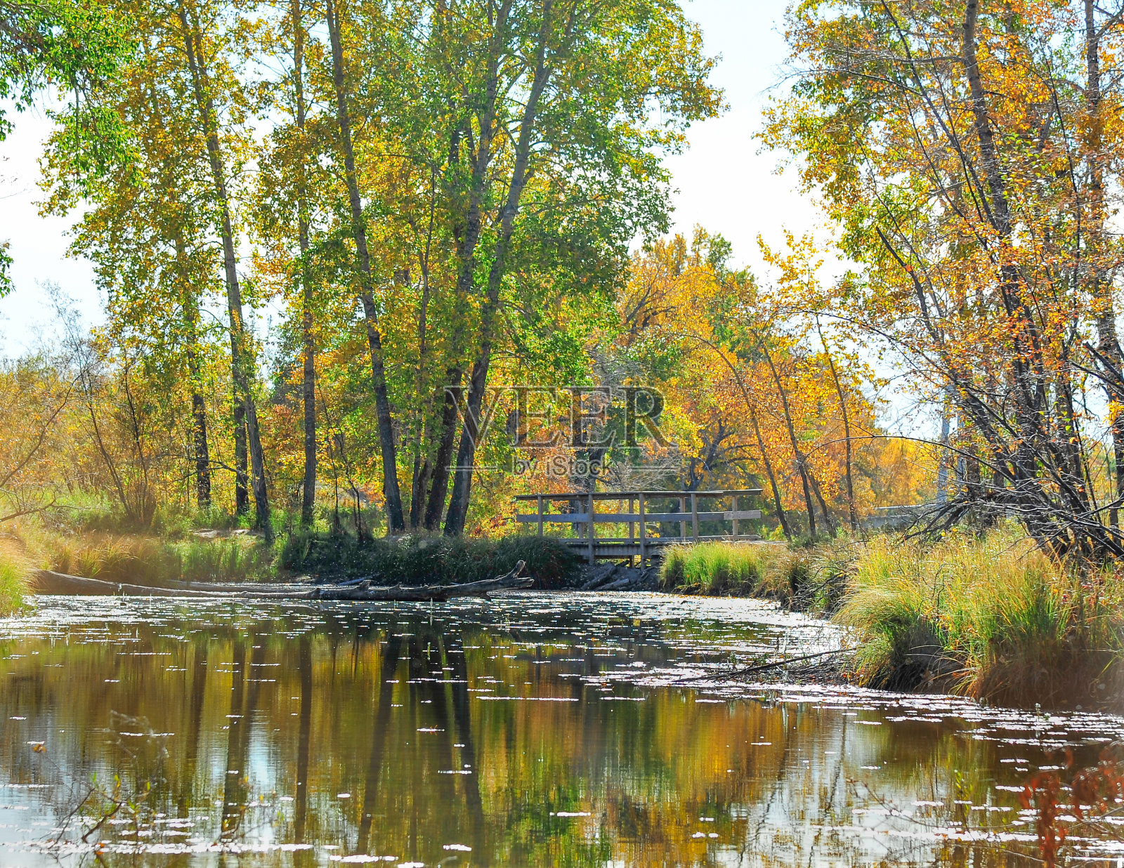 堕落之路反思照片摄影图片