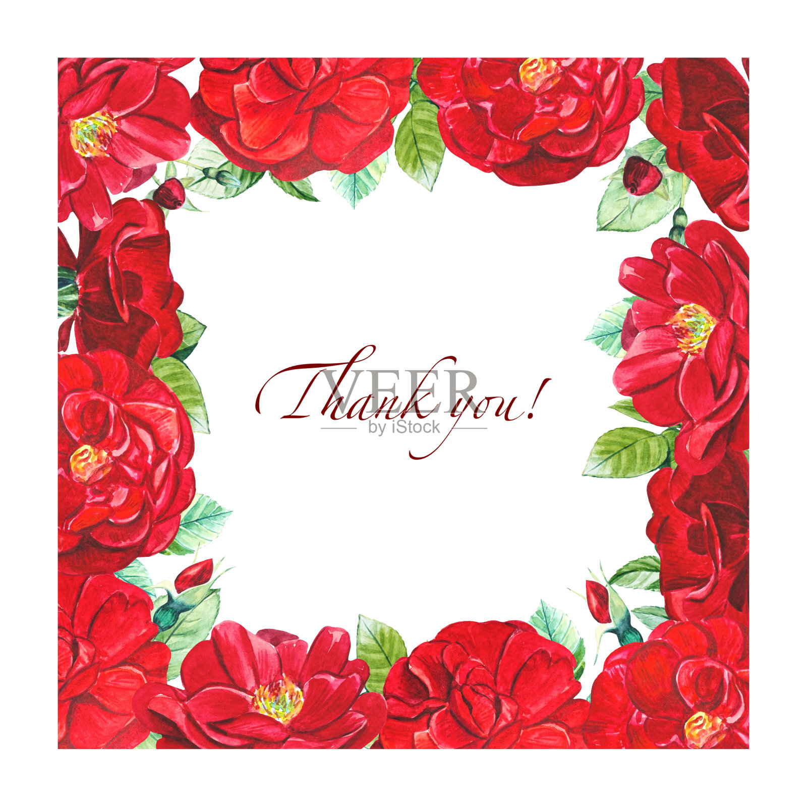 花架与红色花园玫瑰和叶子。水彩插图插画图片素材