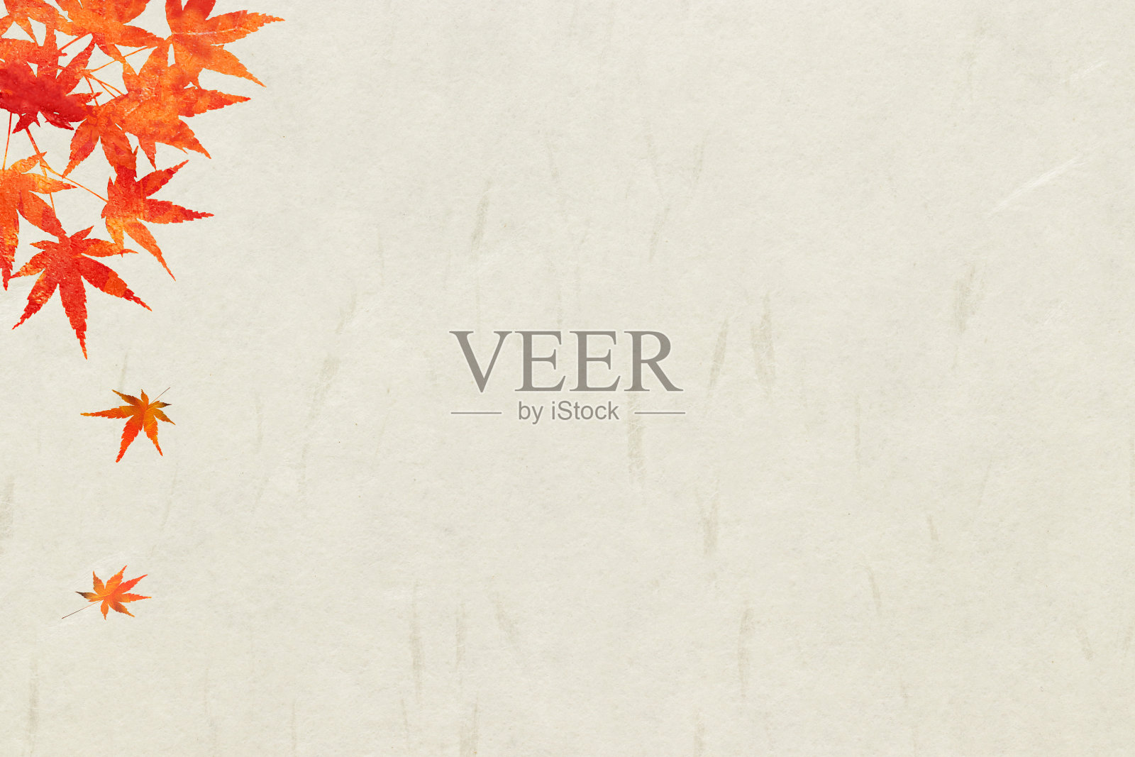 秋天的日本设计，有跳舞的秋叶。复古的日式纸框。婚礼和庆祝长寿活动的背景。照片摄影图片