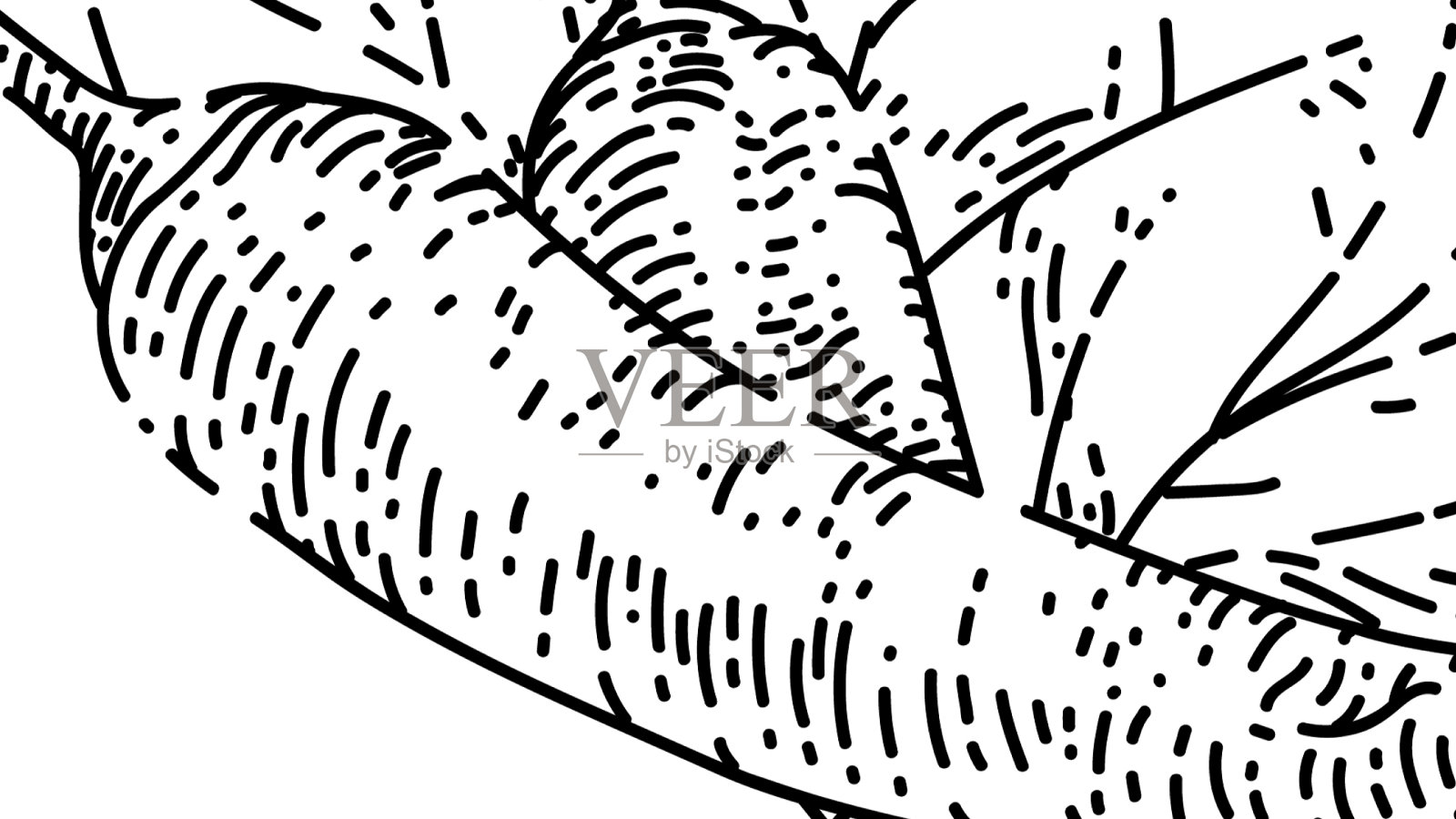 辣椒手绘辣椒素描插画图片素材