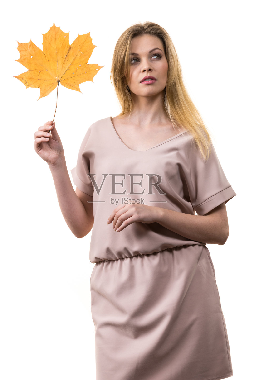 手持枫叶的女子照片摄影图片