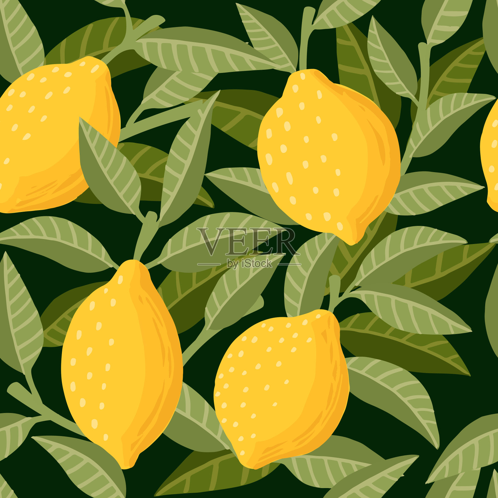 无缝图案的整个柠檬柑橘黄色插画图片素材