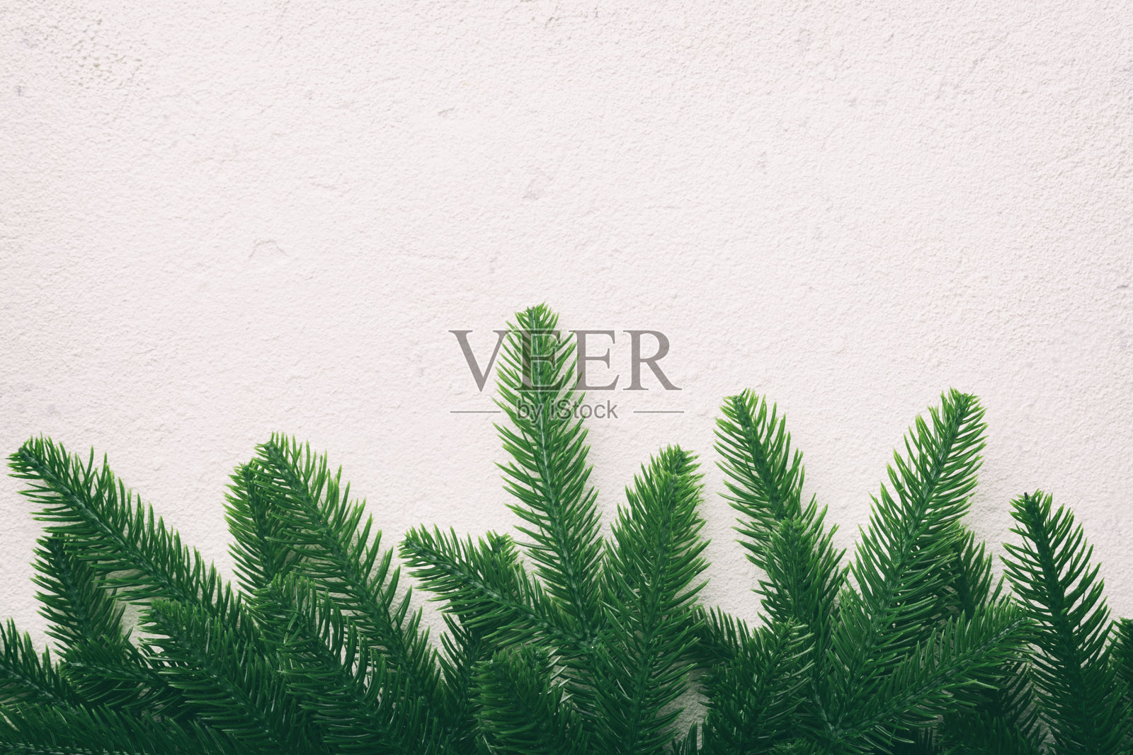 圣诞节假日背景：彩色背景上的杉树枝，留有广告文案的空白区域照片摄影图片