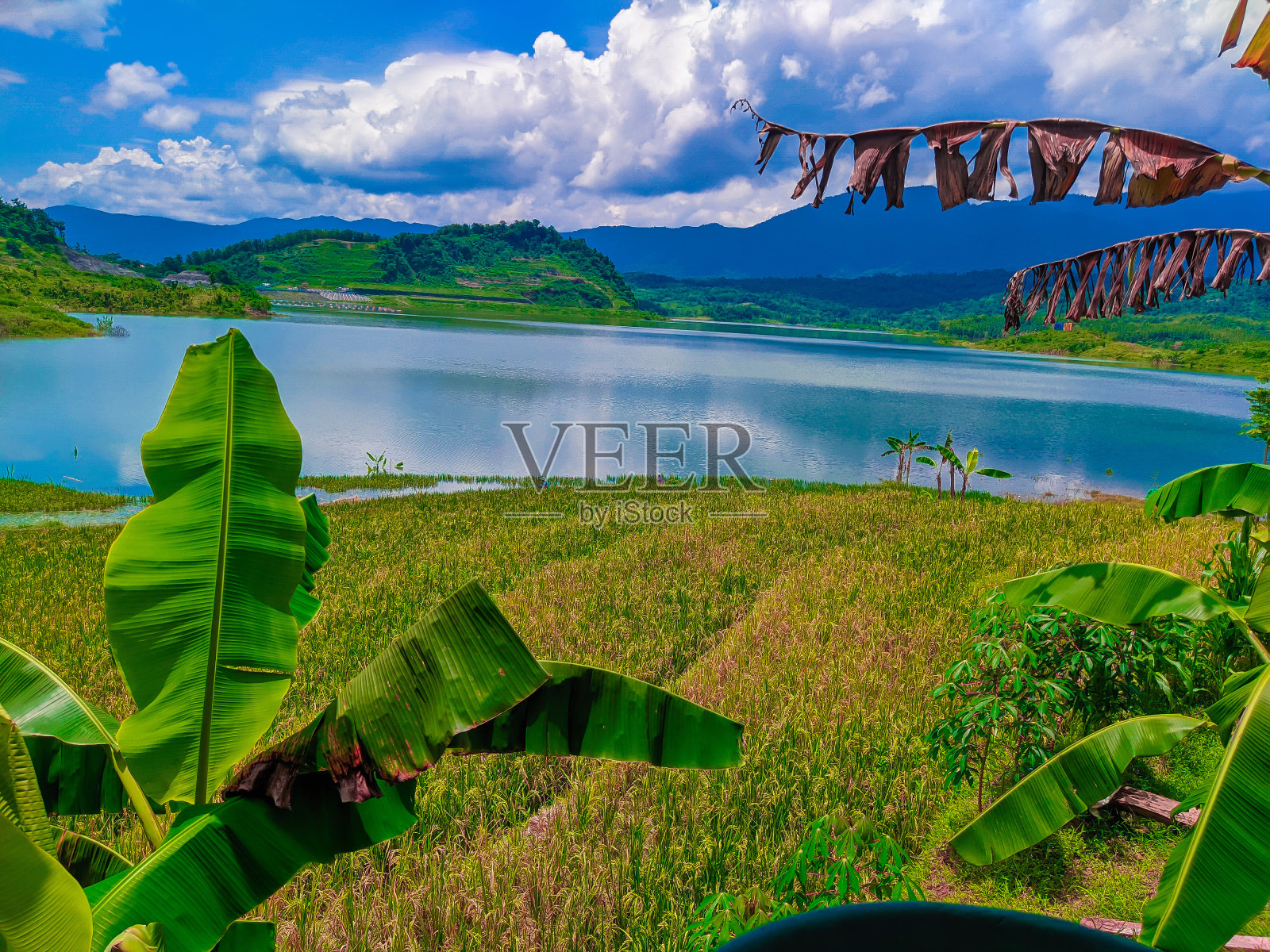 大坝的观点照片摄影图片