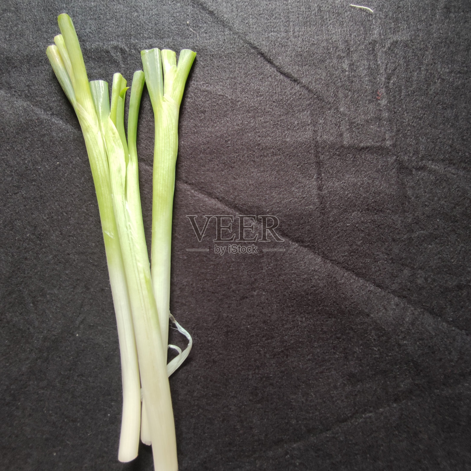 似乎照片摄影图片