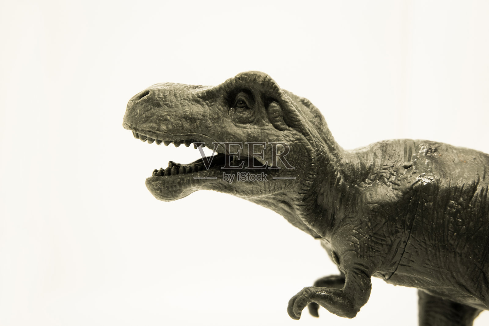 霸王龙玩具塑料特写头锋利的牙齿照片摄影图片