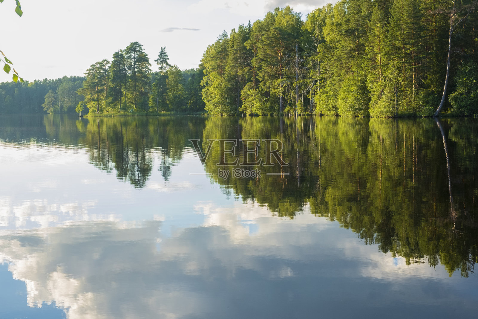 夏天，云倒映在森林中的湖上照片摄影图片