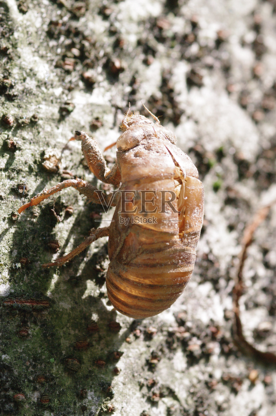 四季的风景。照片摄影图片
