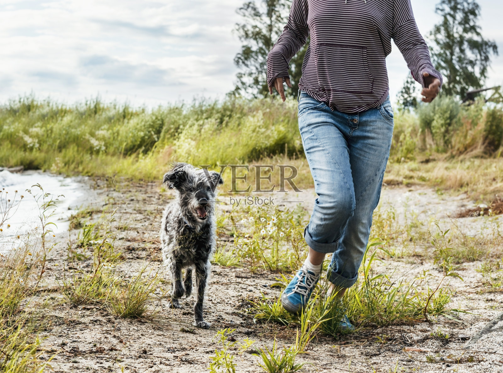 无名女子沿着湖岸与狗狗混合奔跑，与宠物狗徒步旅行照片摄影图片