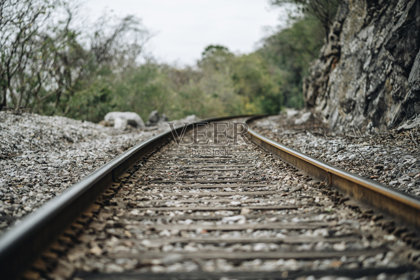 铁轨穿过丛林照片摄影图片