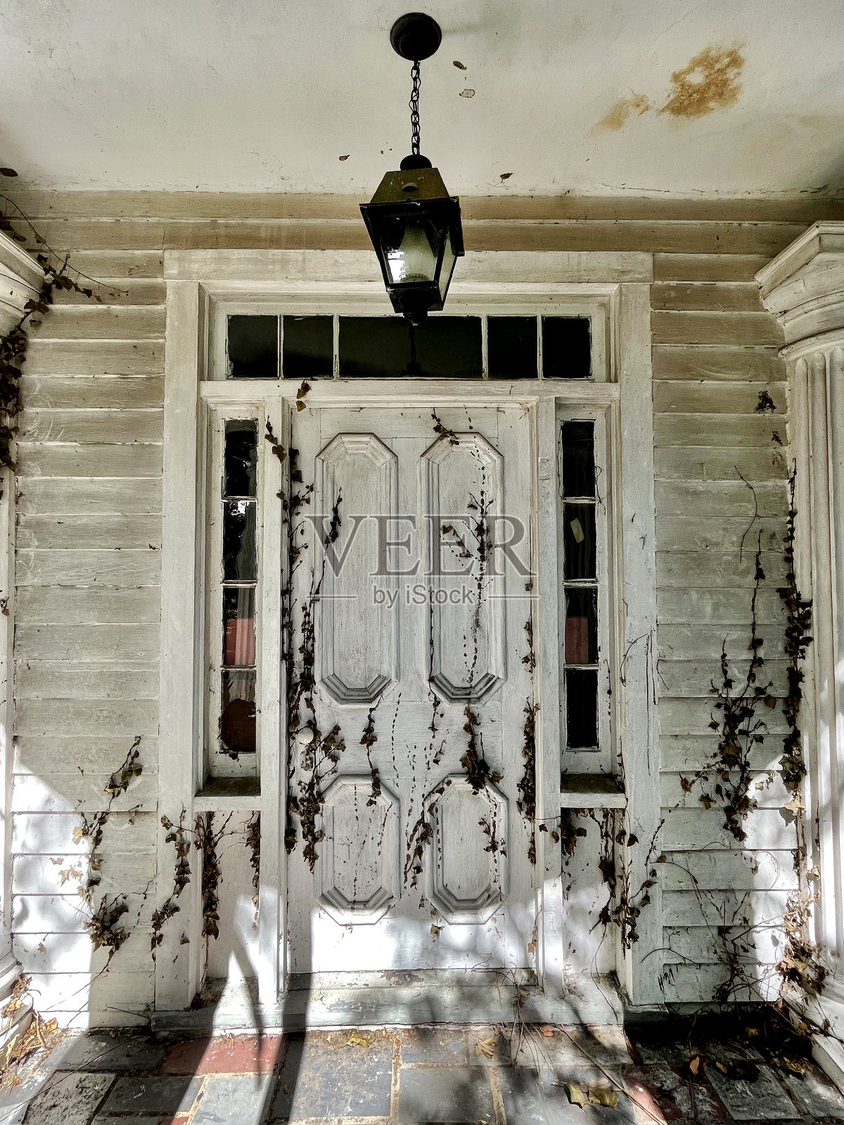 历史悠久的豪宅门口长满了年久失修的常春藤照片摄影图片