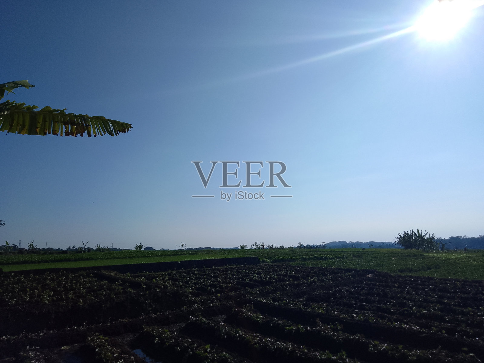 在一个村庄的稻田周围可以看到的风景照片照片摄影图片