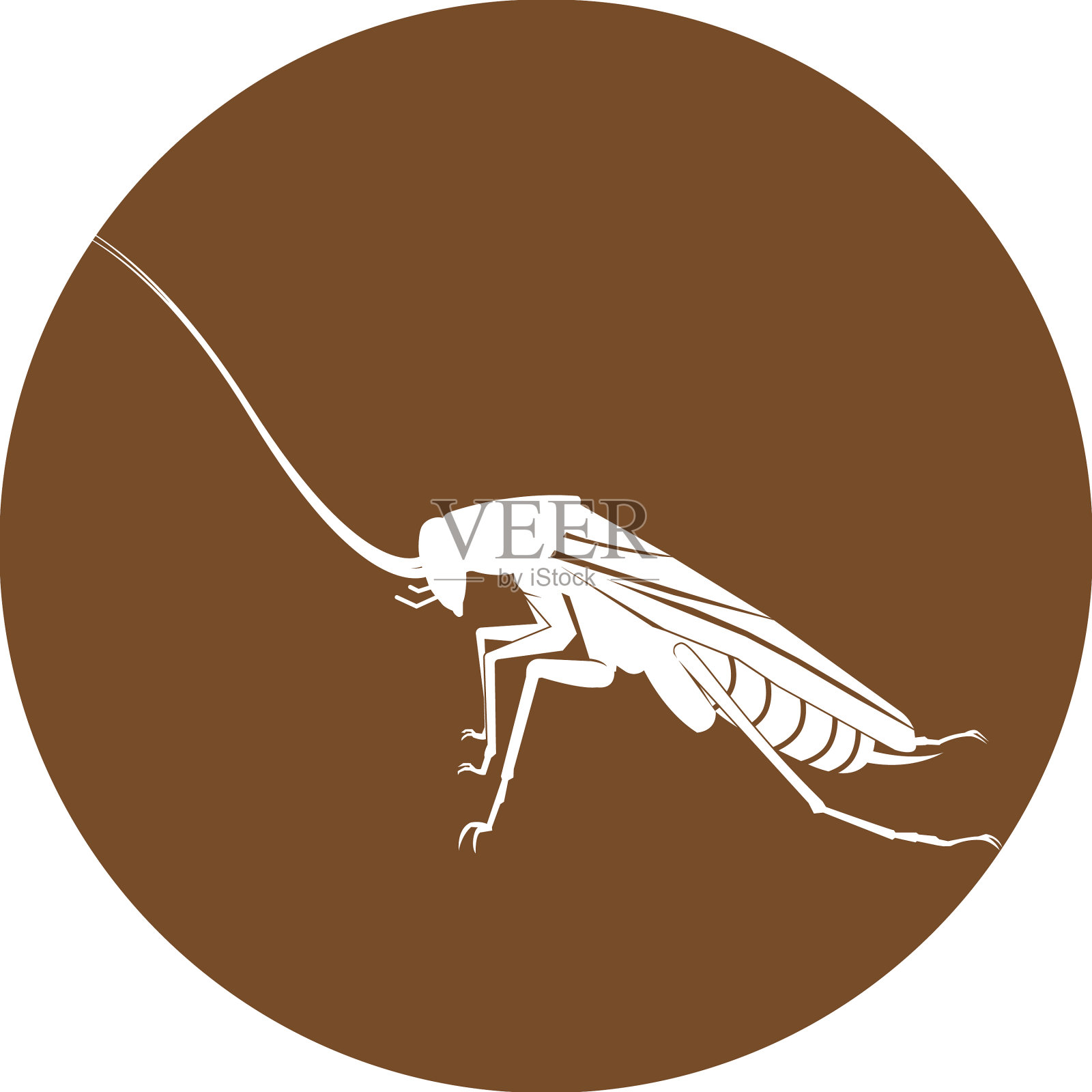 蟑螂图标设计元素图片