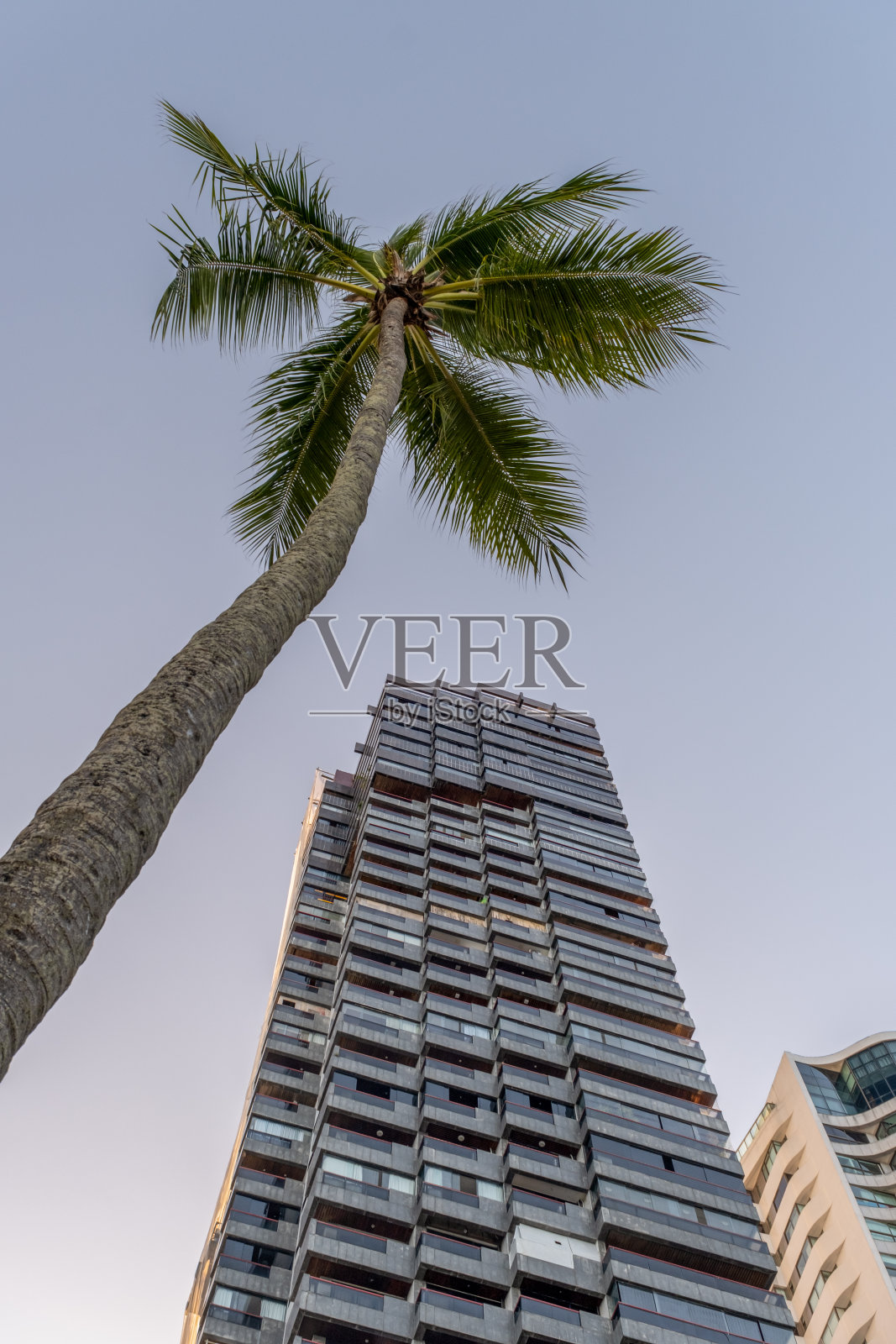 来自Boa Viagem大道的建筑照片摄影图片