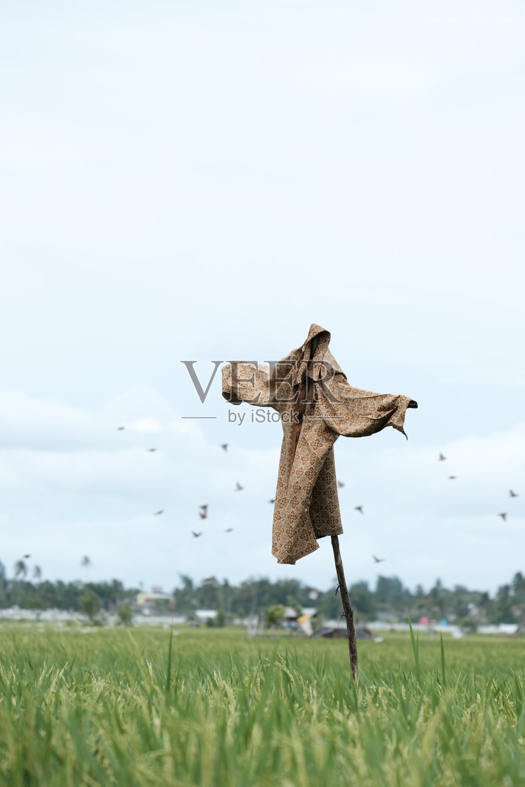 黄色的蜡染稻草人照片摄影图片