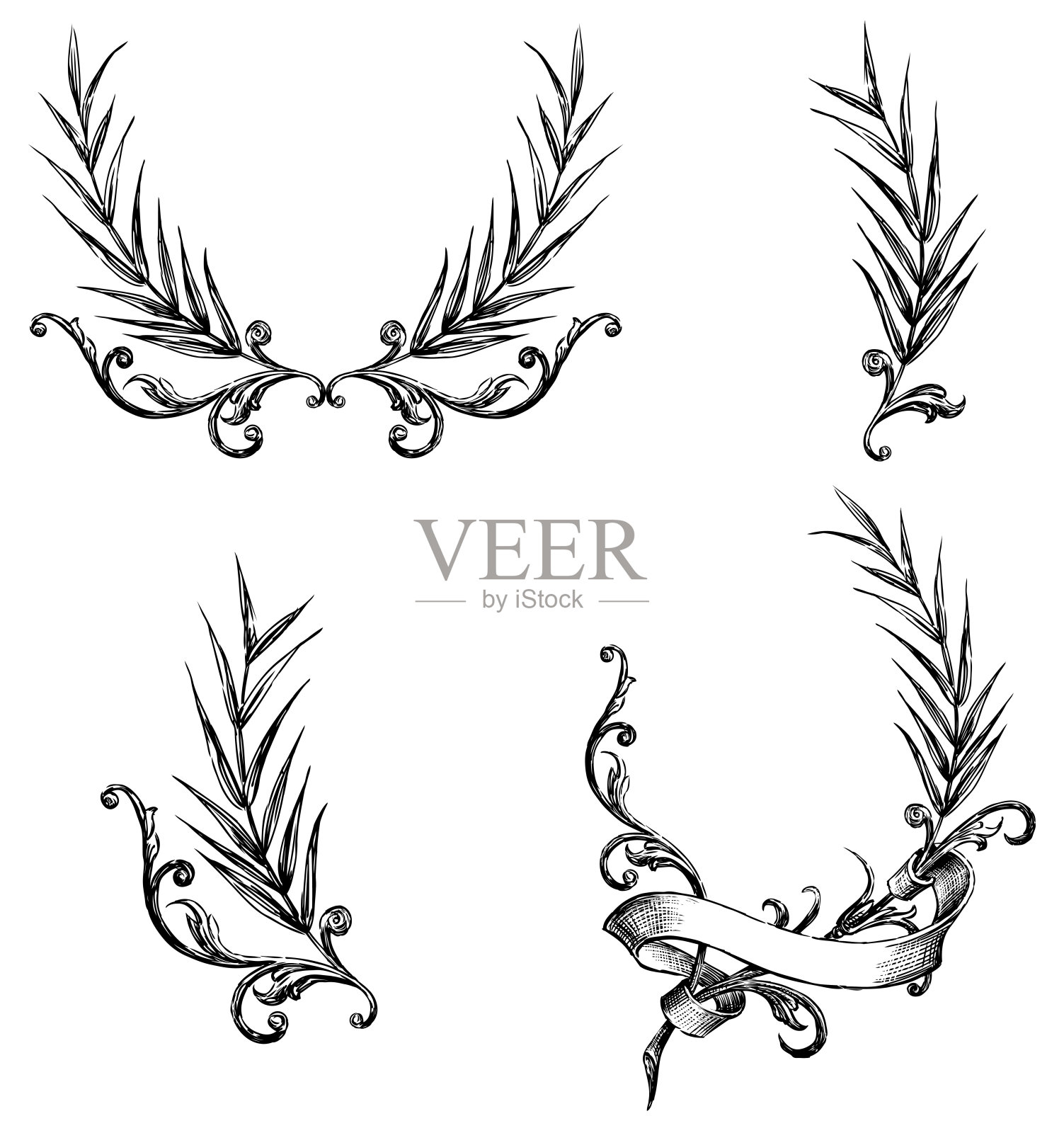 一套草图装饰复古设计元素与细枝，旋涡和丝带插画图片素材