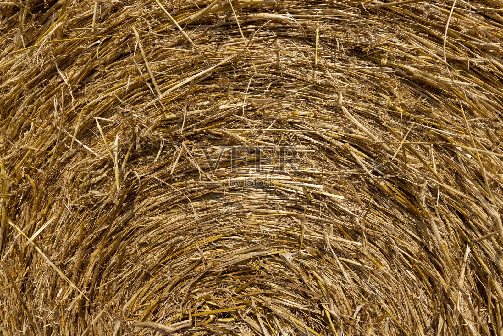收割后扭曲的稻草堆照片摄影图片