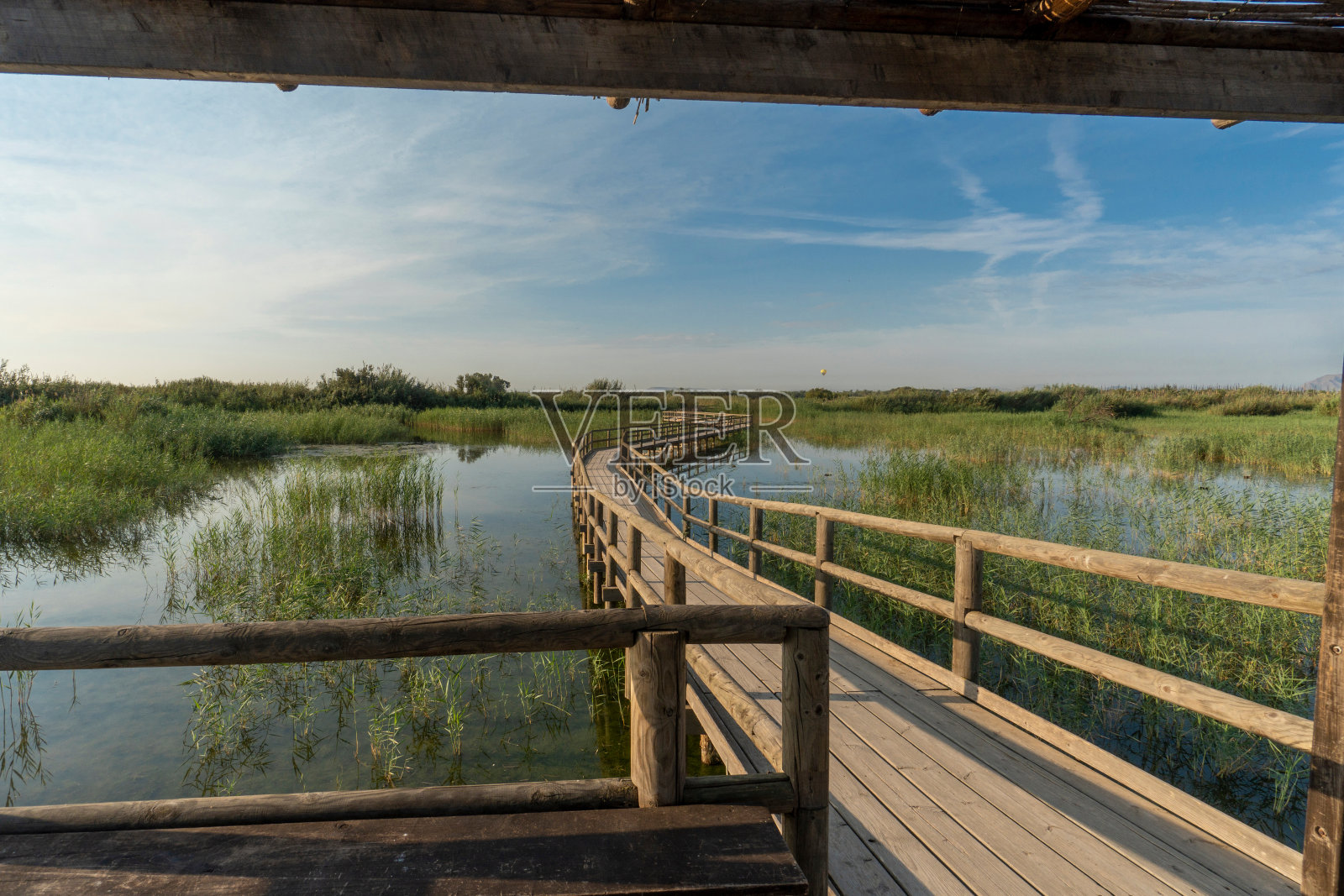 在一个阳光明媚的日子里，在一个自然公园里的观鸟台照片摄影图片