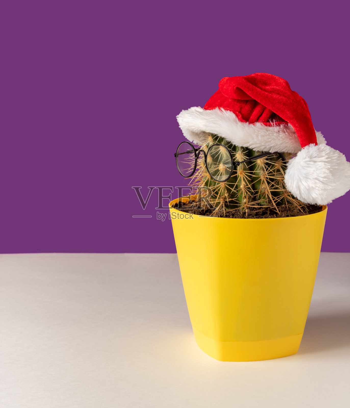 仙人掌带着眼镜戴着圣诞老人的帽子，在黄色的罐子里，在白色的桌子上。紫色背景和文字空间。有选择性的重点。照片摄影图片