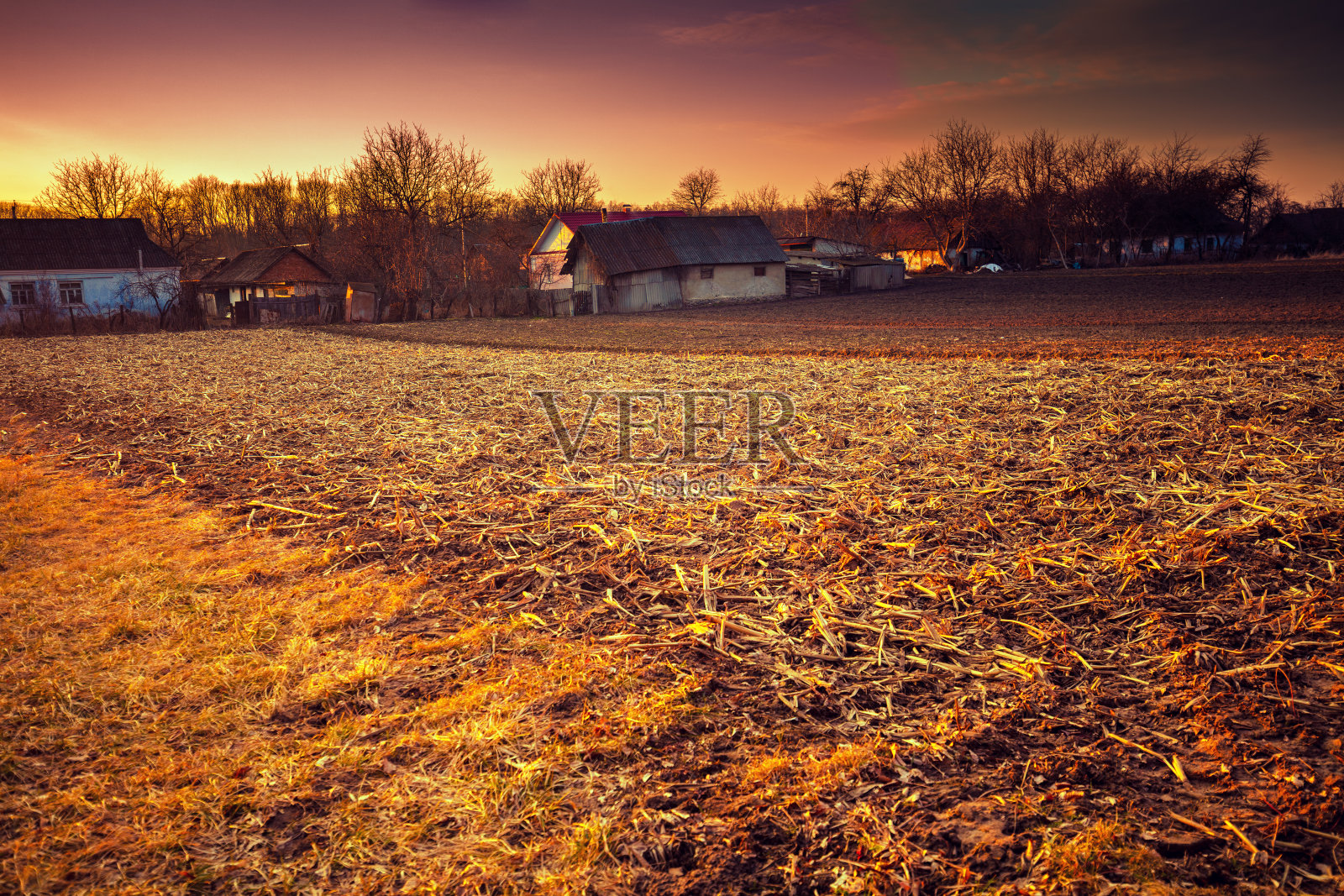 早春的日落照片摄影图片