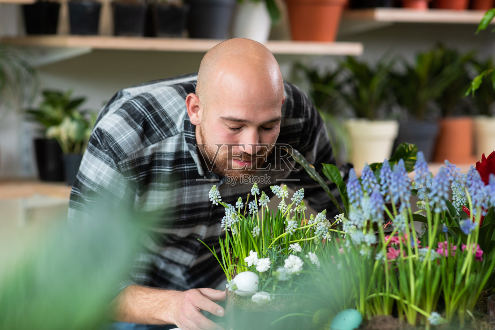 在花店里，一个看起来像白人的顾客从货架上拿了一些花，用智能手机和别人聊天照片摄影图片