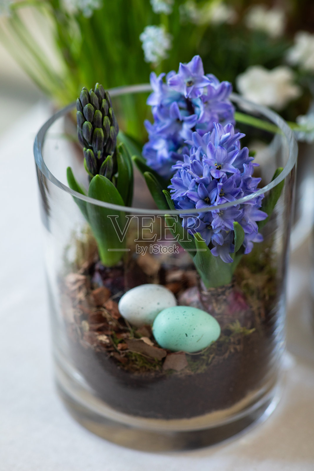 室外咖啡馆的紫丁香花盆照片摄影图片