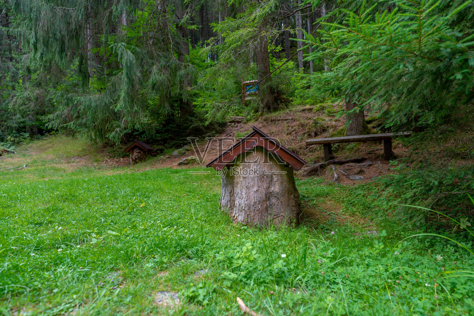 风景如画的森林和绿色草地，Cierny Balog，斯洛伐克，欧洲照片摄影图片