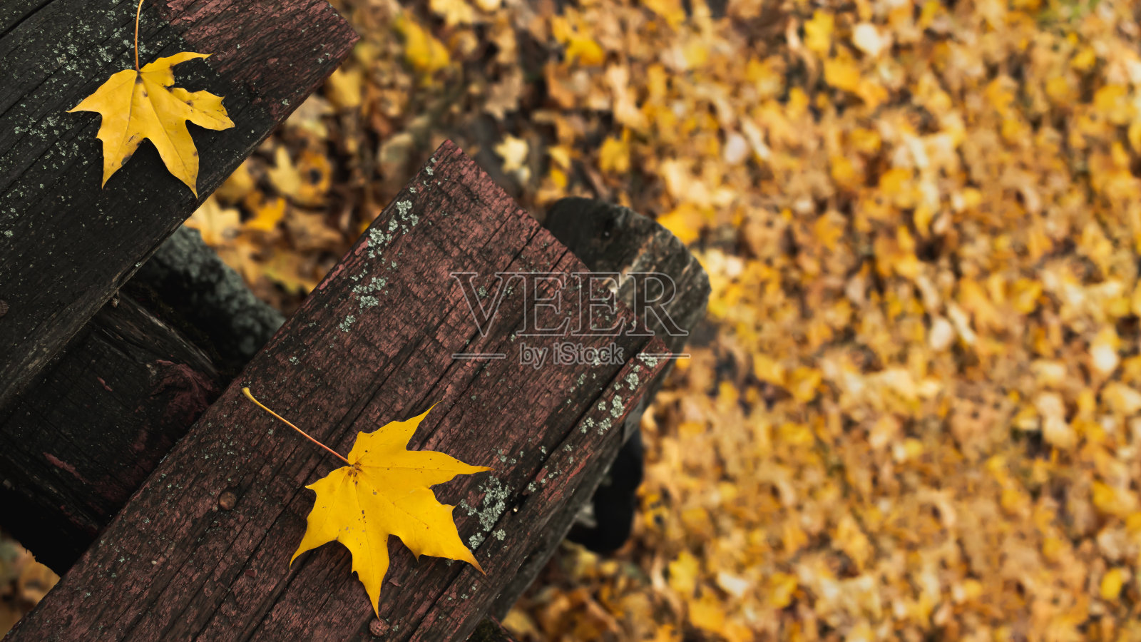 秋天,秋天的概念。公园里旧木凳上的枫叶。落叶的背景。特写,有选择性的重点。秋天的到来。秋天的心情。照片摄影图片