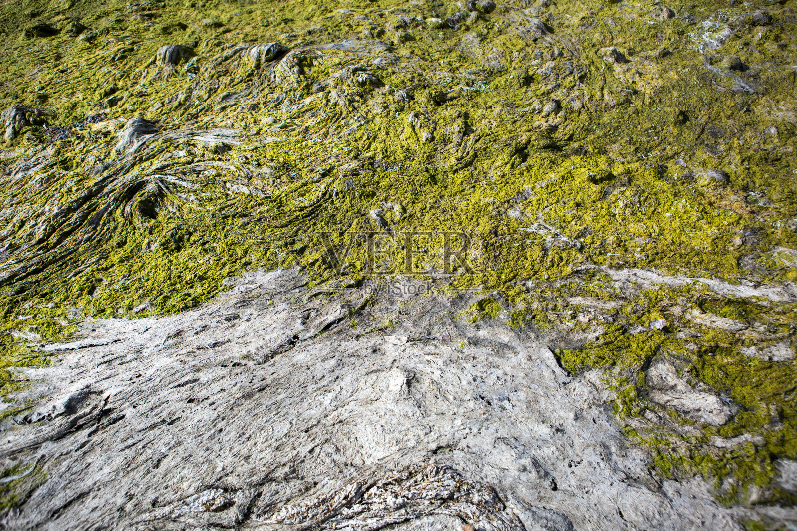 干涸的河床-抽象的背景照片摄影图片