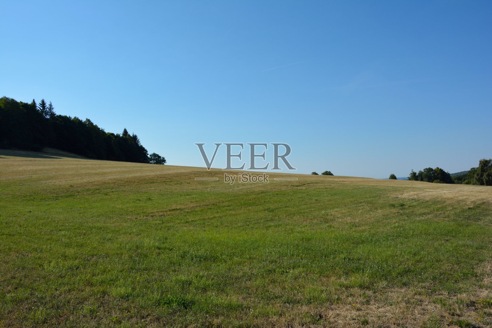 牧场照片摄影图片