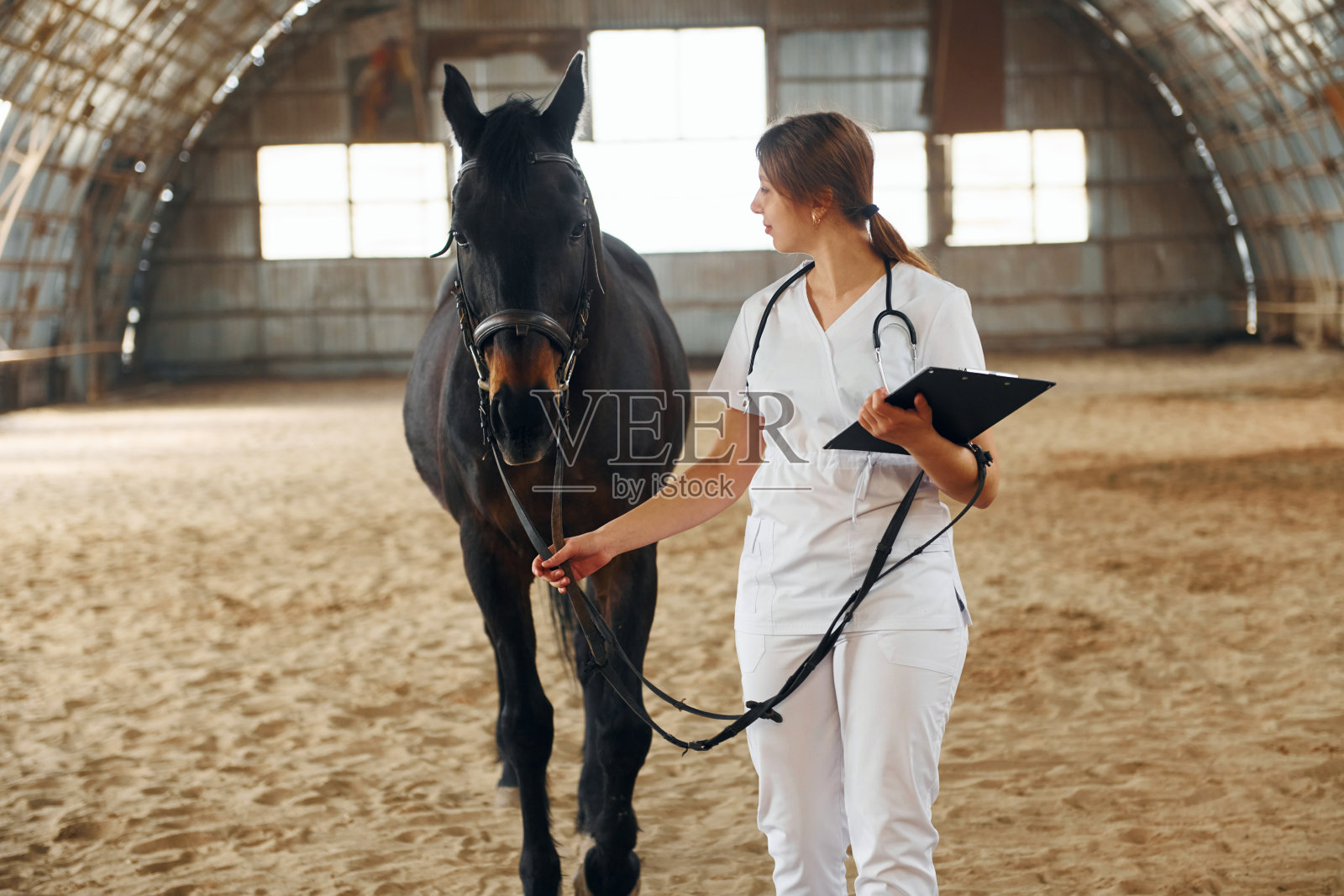 拿着写有检查结果的记事本。穿着白大褂的女医生牵着马在马厩里照片摄影图片
