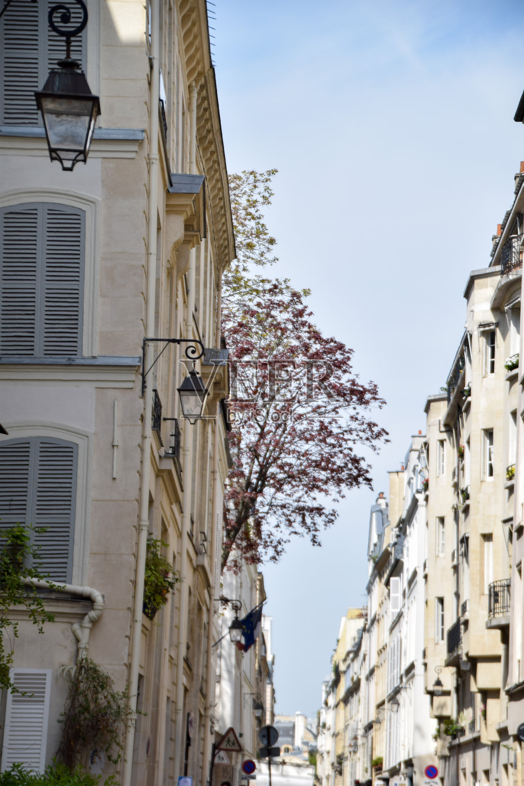 在巴黎的城市灯和房子前面照片摄影图片