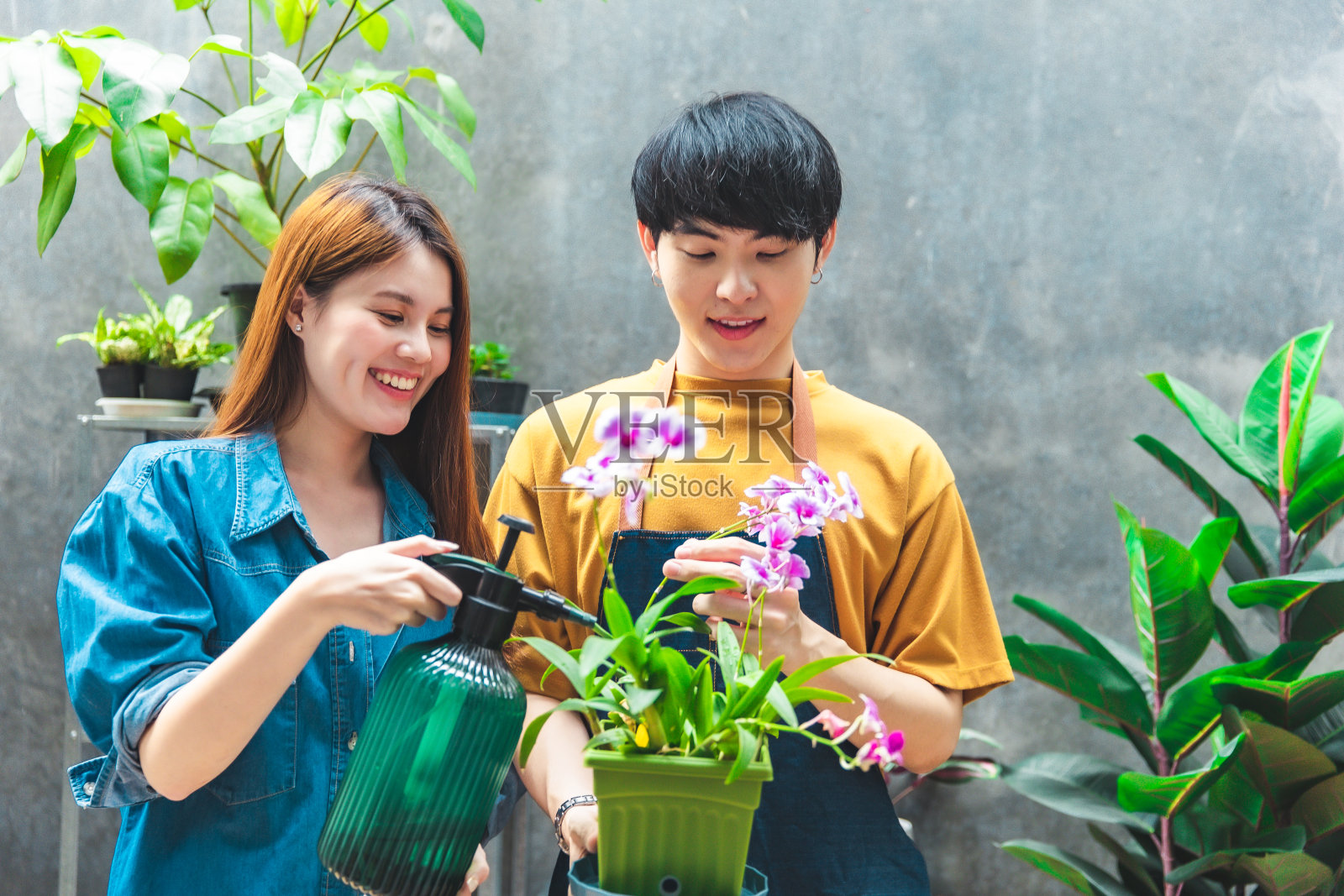 一对亚洲园丁正在准备小型花盆。爱好植物、园艺或温室内的室内植物。在线销售。照片摄影图片