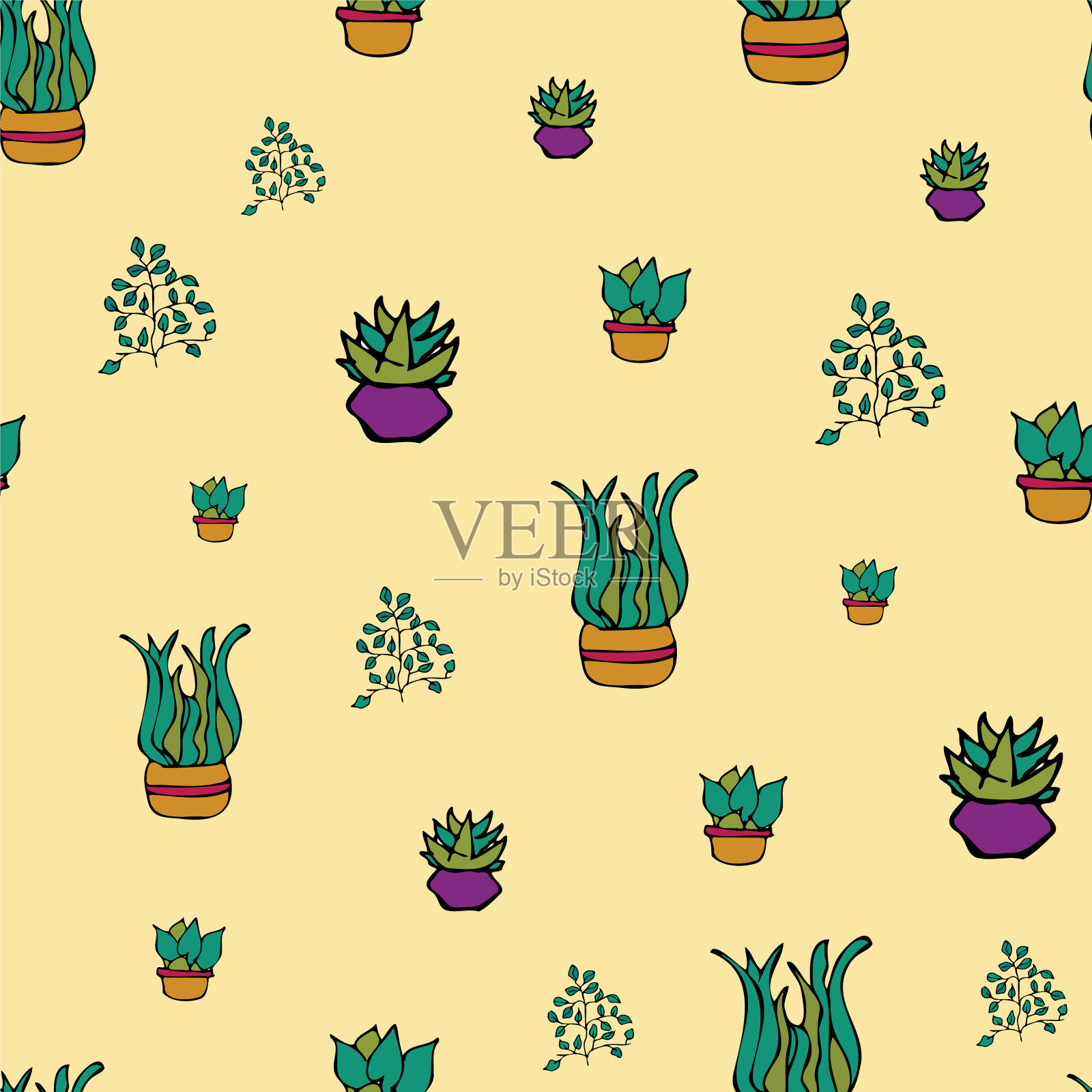 盆栽多肉植物中的白色背景植物插画图片素材