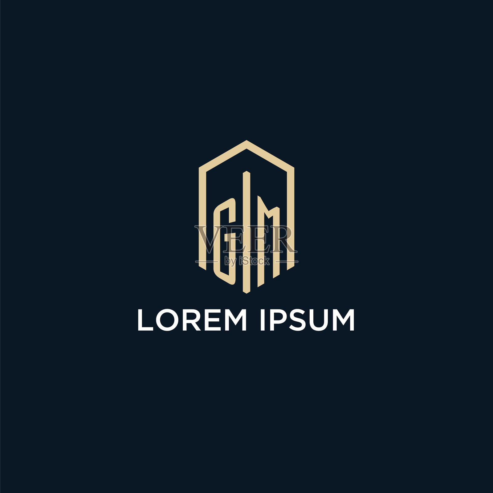 通用最初的六角形字母标志插画图片素材