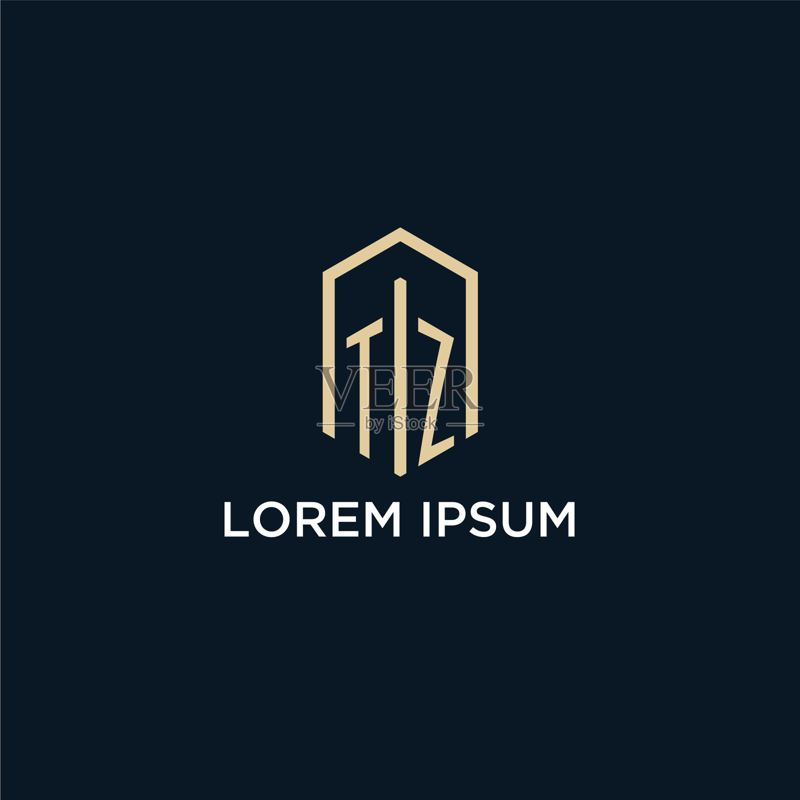 Tz初始字母标志与六角形插画图片素材