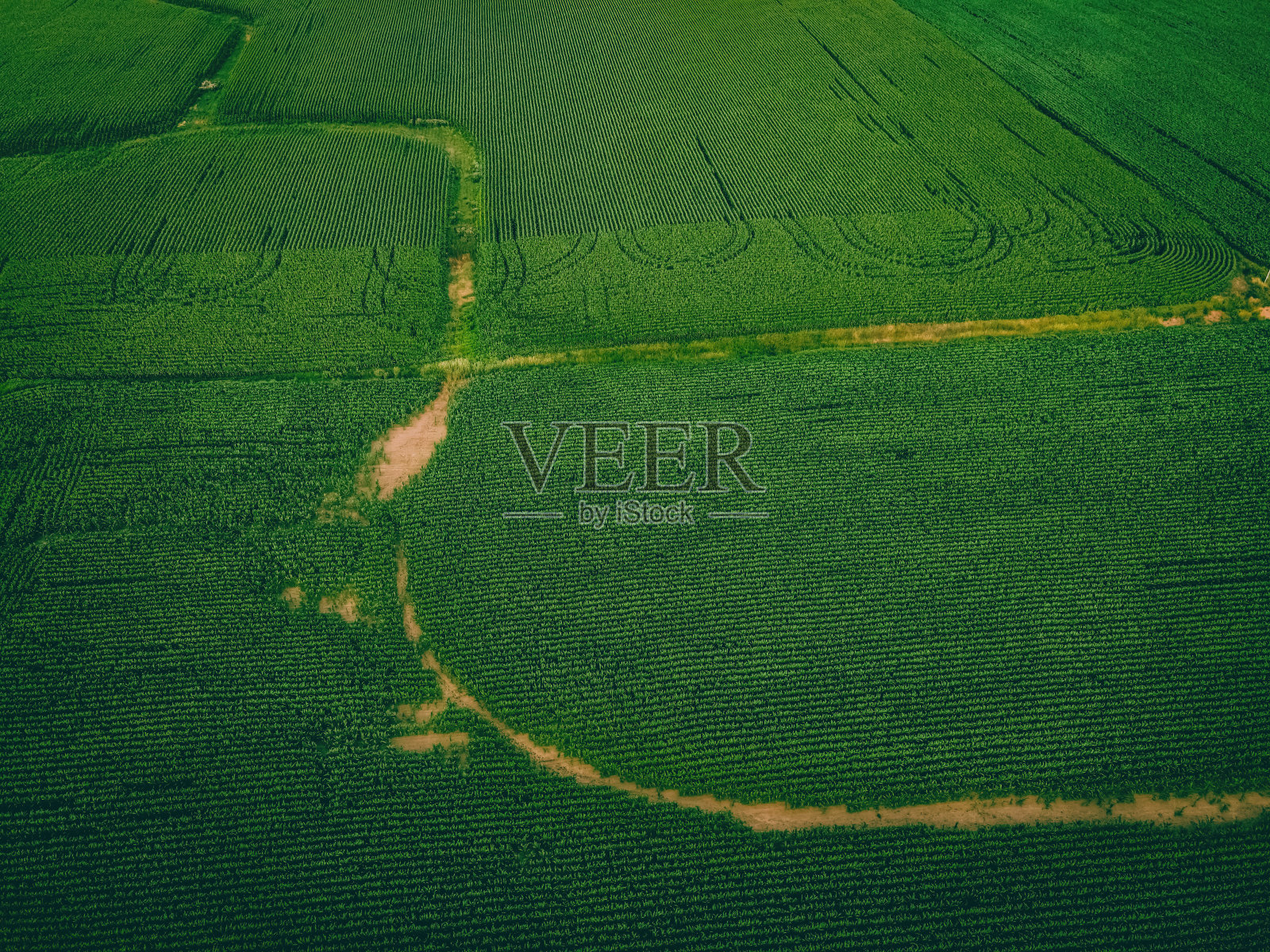 威斯康辛州的农村农田照片摄影图片