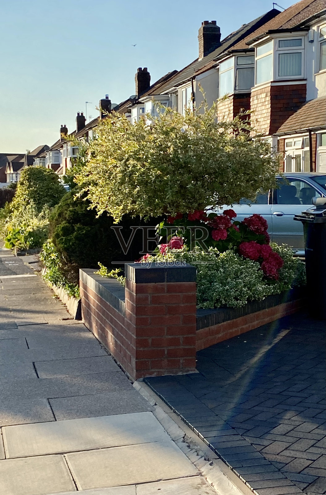 茂盛的树叶和鲜花在一排房子的车道上照片摄影图片