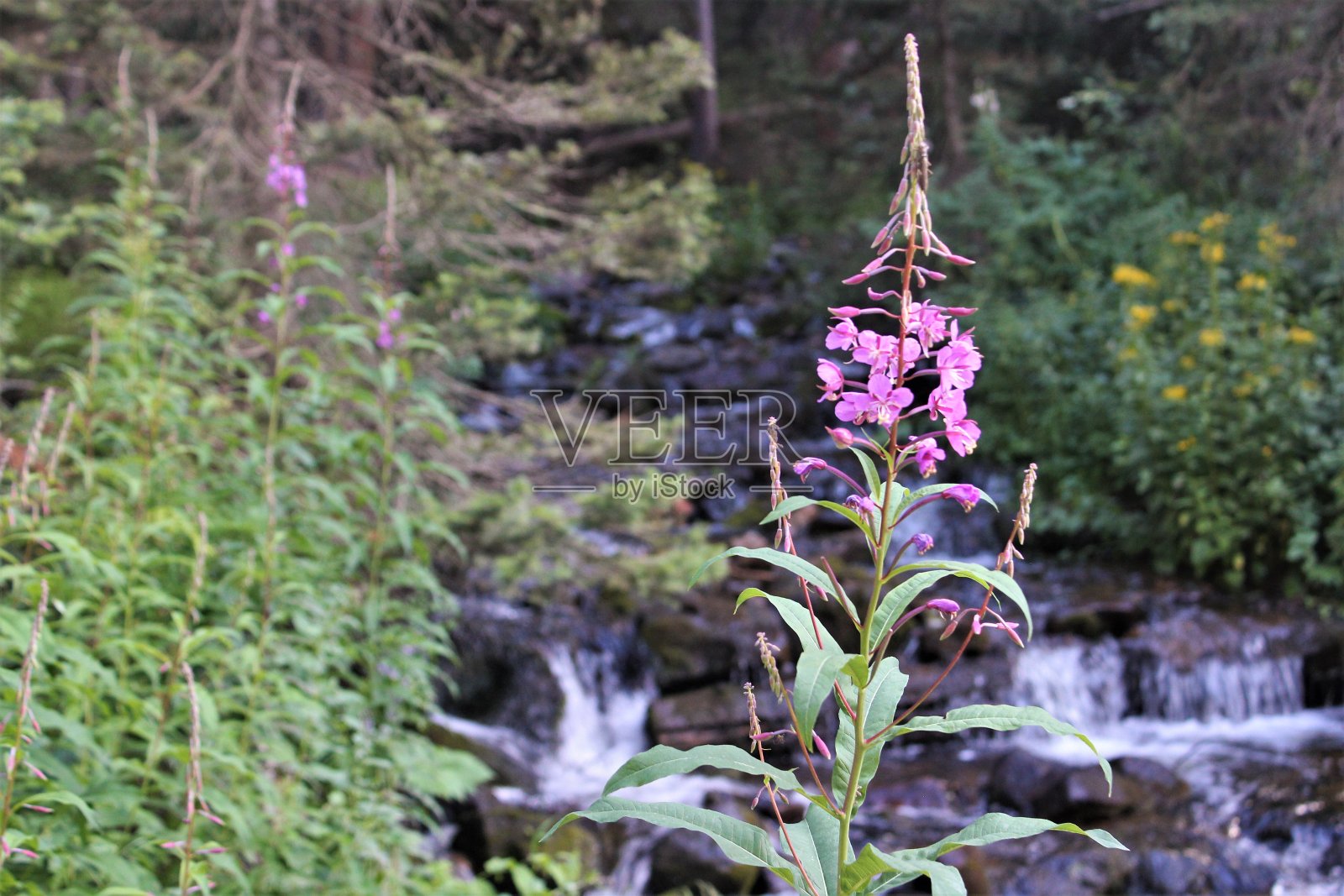 沿县道12号照片摄影图片