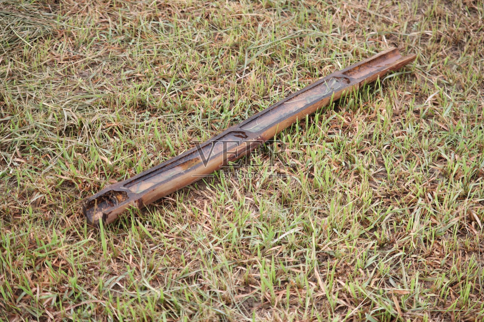 雨水照片摄影图片